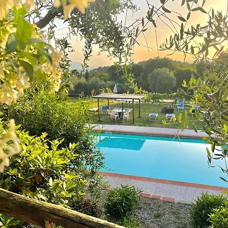 B&B Alloro Капаннори Экстерьер фото