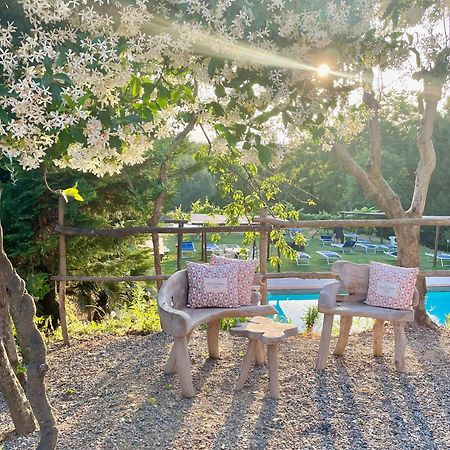 B&B Alloro Капаннори Экстерьер фото