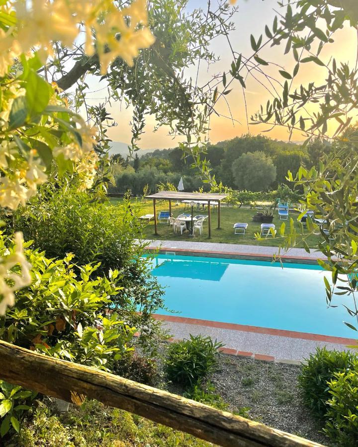 B&B Alloro Капаннори Экстерьер фото