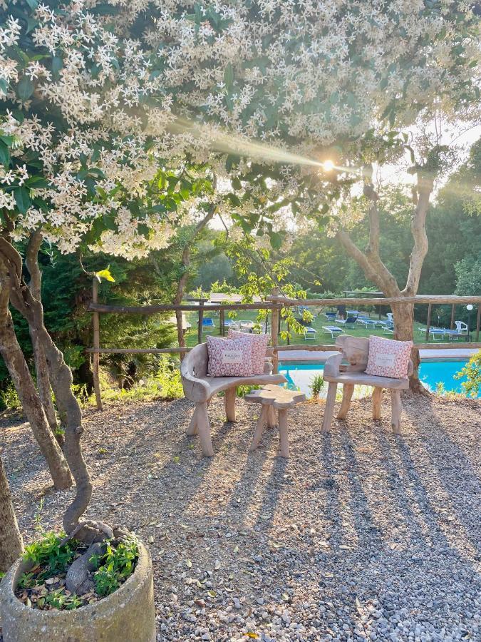 B&B Alloro Капаннори Экстерьер фото